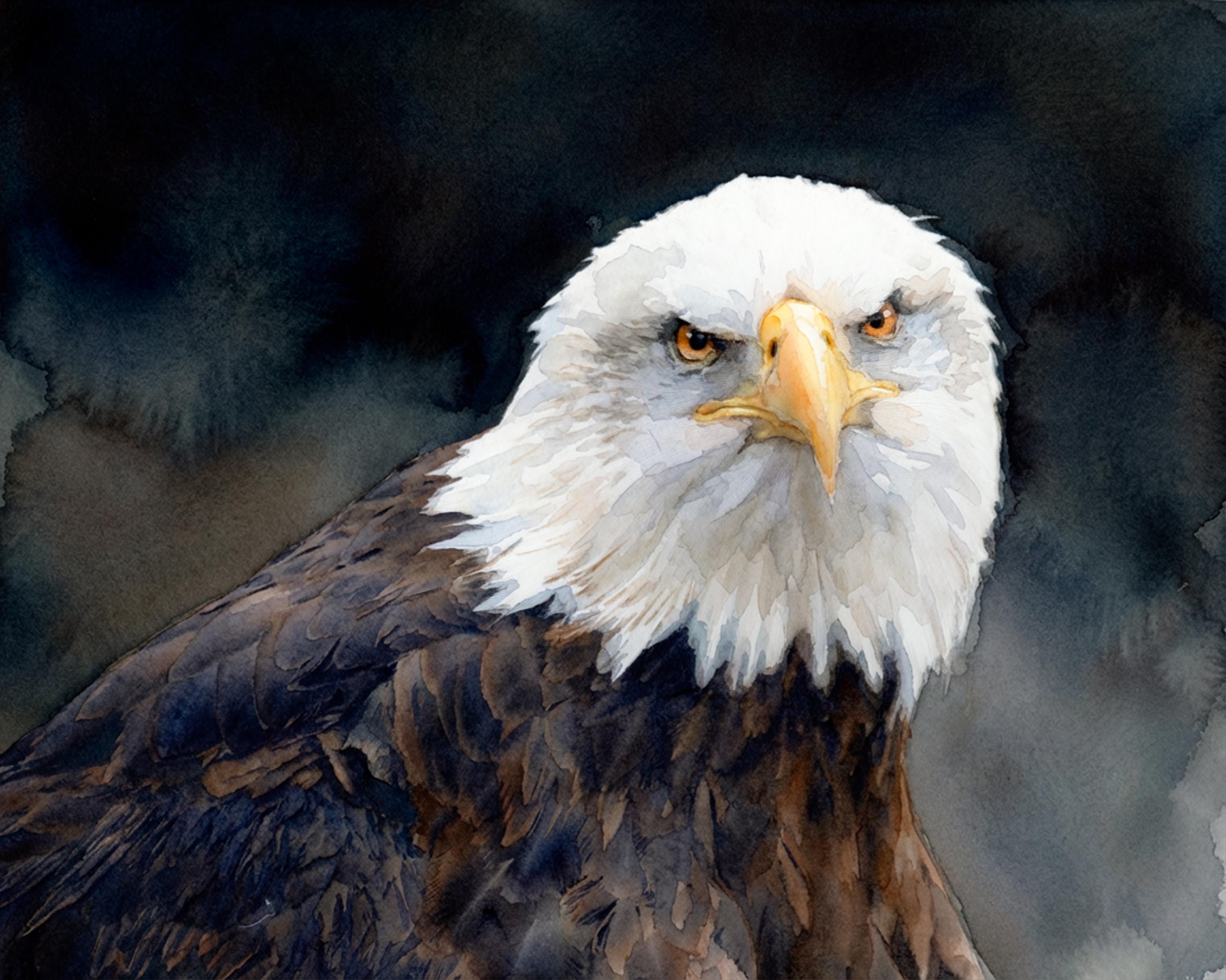 American Glory watercolor fine art print of a bald eagle portrait by Deborah Heinlen