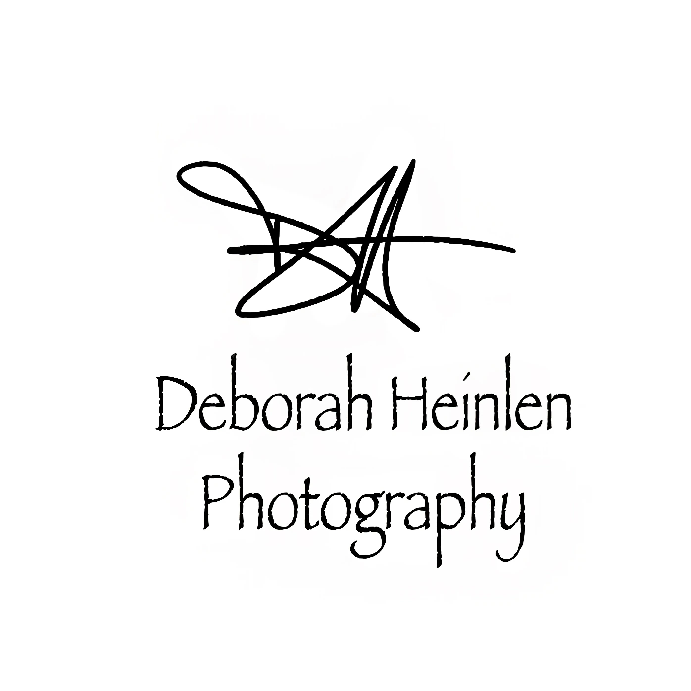 Deborah Heinlen Fine Art